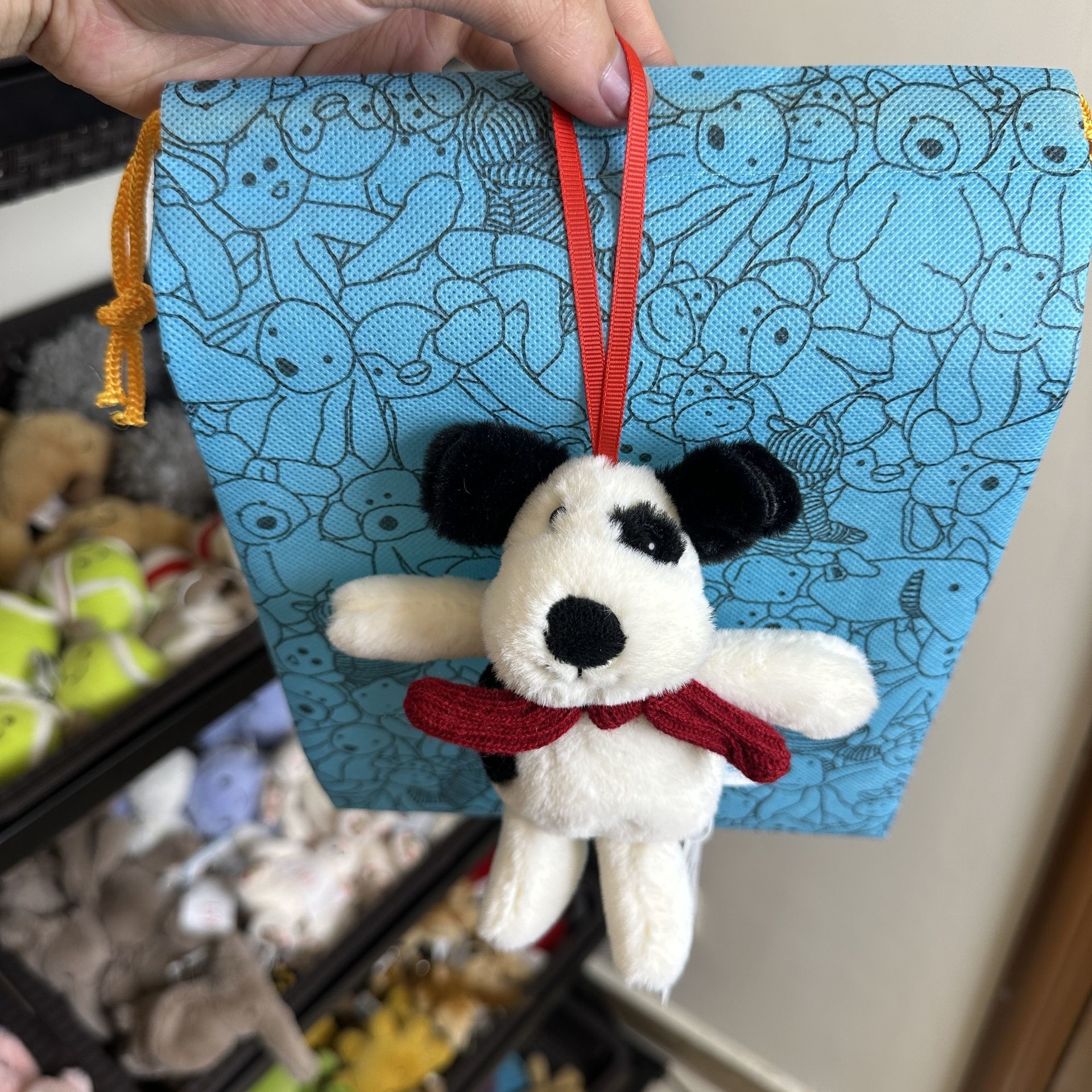 Scarf pirate dog charm