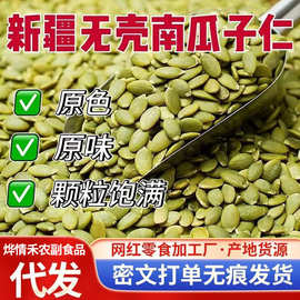 代发原味南瓜子仁批货装5g熟原味无壳生南瓜籽仁盐焗炒干果零食
