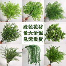 ŻGɫϵc滨 ҾܛbٻɭϵYõ·廨