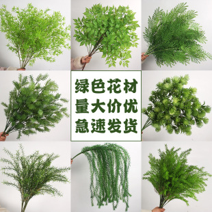 ŻGɫϵc滨 ҾܛbٻɭϵYõ·廨