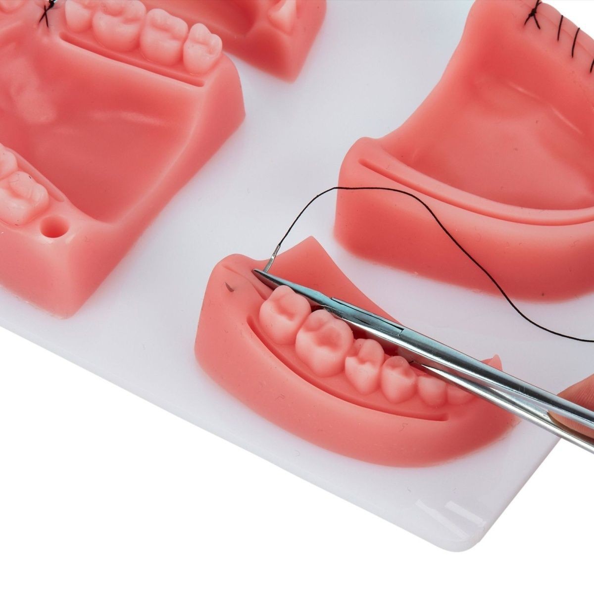 Conjunto de modelo de práctica de sutura dental Paquete de sutura grande Módulo oral de simulación Módulo de herramienta de entrenamiento quirúrgico
