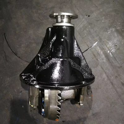 Manufacturer Produces Rear Axle Differential Differential assembly