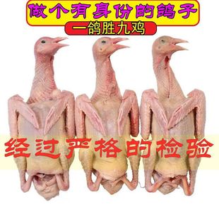 �������������r�����������������r����b���]�S�Ҵ��lһ�����]