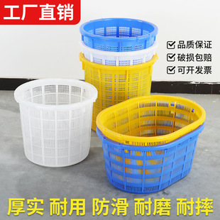 �p�����Ͽ���f�A�j���r��÷�з�ش�̖�t����ֻj�����s������l