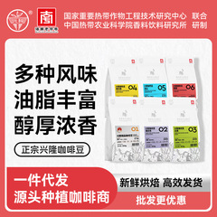 海南コーヒー卸売 Xingke 本物の Xinglong コーヒー豆さまざまなフレーバーのスペシャルティ コーヒー豆はドロップシッピングをサポートします