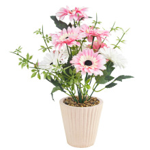 10��������޾����Լ��{��Ҿ��b��滨�����̳��b��Ĕz����