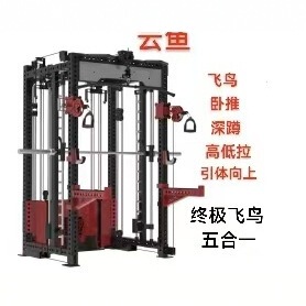 REP飞鸟深蹲架龙门架卧推史密斯CF架综合训练架多功能赛架|undefined