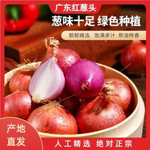 t[^Ĵ[^ļ[^[N[uԷNֲaذ]