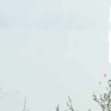 羊羔毛马甲女皮毛一体2025春秋新款洋气外穿百搭加厚马夹网红外套|undefined