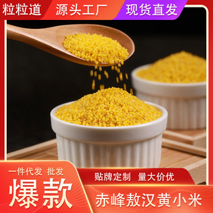 �S�����l���ɹŰ��h�خaС�S���ЙC�µ��S�����SС��450gһ�����l