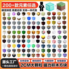 我的积木世界DIY磁铁玩具搭建拼装世界磁力方块积木儿童益智玩具