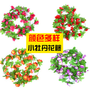 �S�ҷ���42�^õ�廨��Сĵ���l�ٻ������p�@���ϻ���c�b羳