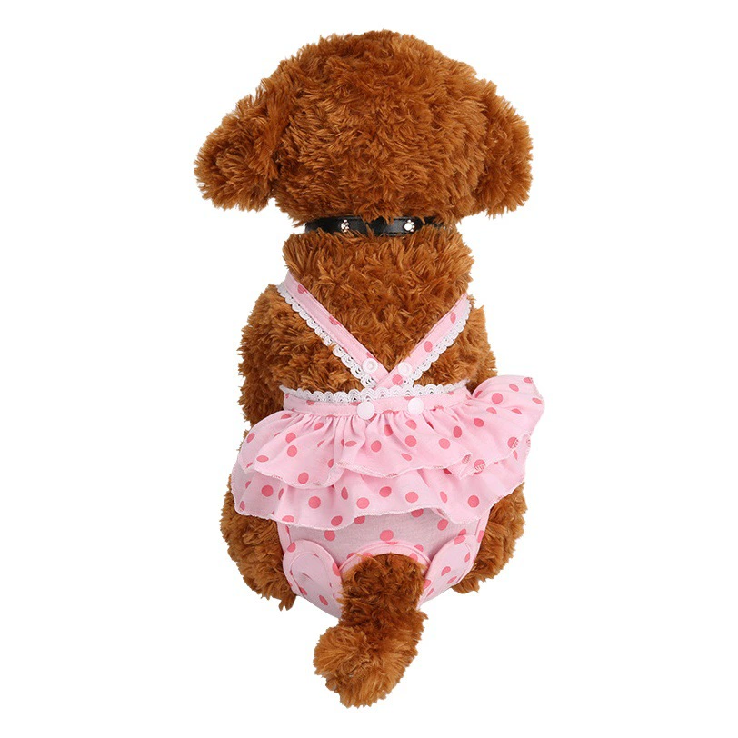 Амазонка Летние Взрывы Тедди Фадоу Бомеи Домашняя собака Юбка в горошек Уличные Дорожные штаны