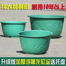 Ӻش̖ϻ̨ͥԺN߲бPһl