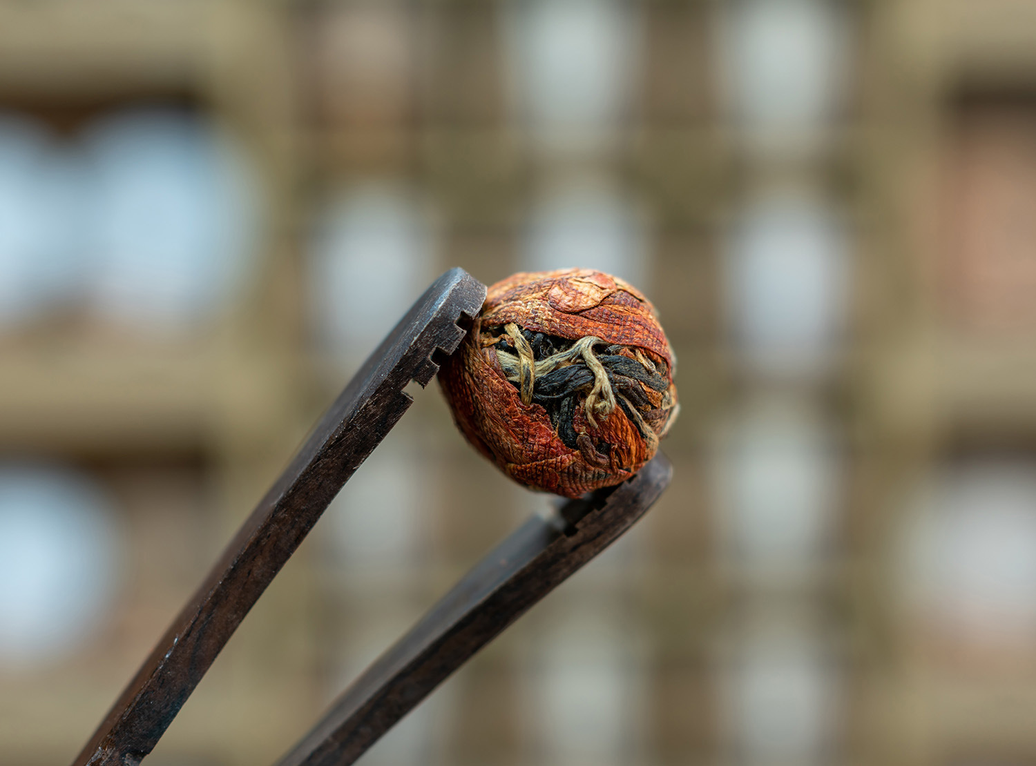 百合绣球 (6).jpg