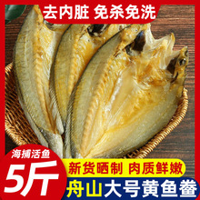 舟山特产黄鱼鲞风干鱼干黄花海鱼干海鲜干货鱼鲞咸鱼大黄鱼干包邮