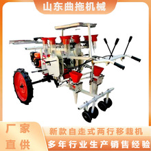 小型农用两行蔬菜移栽机茄子辣椒西红柿蔬菜载苗机 源头工厂