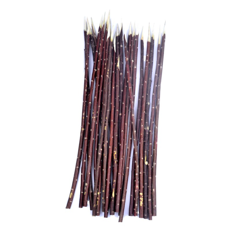 Factory supply red willow branch barbecue stick 30cm mutton stick red willow wood signature red willow branch barbecue stick