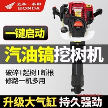 늆Mě_̴ژ荿יCƘCڿƱ