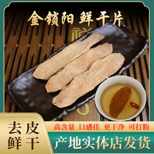 i500grƬiƬɹŰݲݾƷɐ