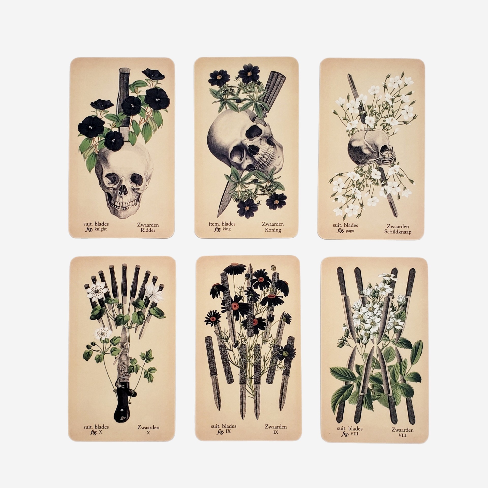 The Antique Anatomy Tarot Deck - Classic Divination Party Game_voghion.com