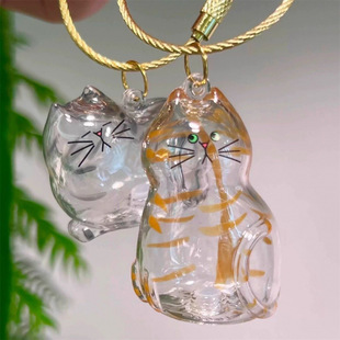Hot Selling Transparent Cat Hair Storage Box Pendant Gashapon Cat Hair Commemorative Capsule Commemorative Collection Bag Keychain Bag