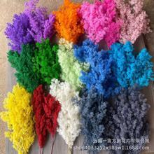 �������R�� �Y�в�������������diy��� ��ϏS�Ҹɻ��������l