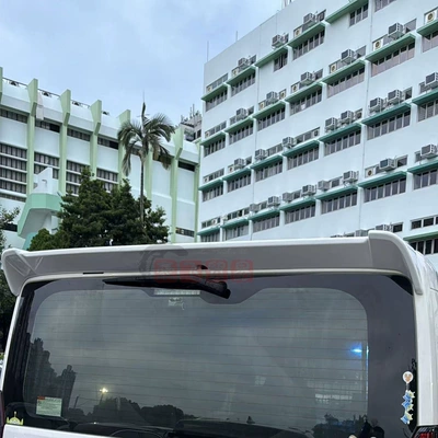 Fixed wind wing Sea Lion rear wing new