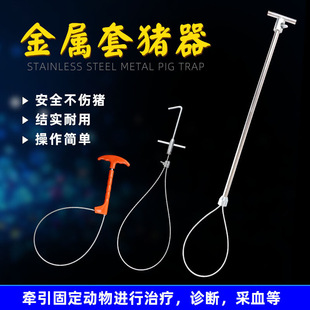 ���i���i�ý����������� ���P�˩���i���� ���i���׹���ץ�i����