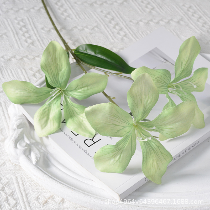 3 flames orchid green