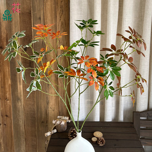 ����ľ �lؔ�~ ���⹤�̈@���쾰�廨�ٻ� ������ꐔzӰ�b���