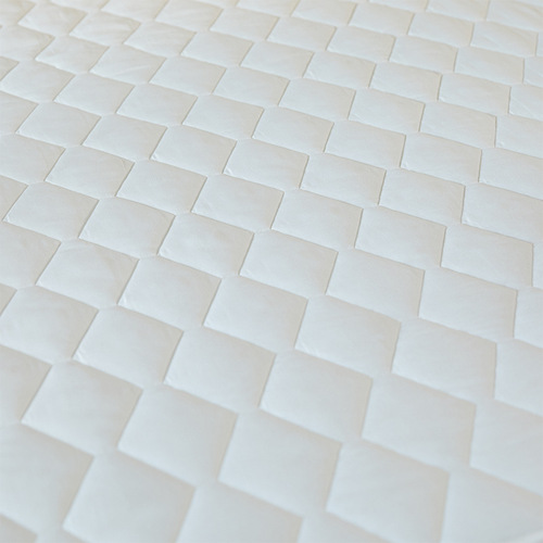 Hotel Mattress Pad Soft Pad Four Seasons Thin Pad Household Memory Foam Protective Cover Student Dorm Anti-Slip Pad