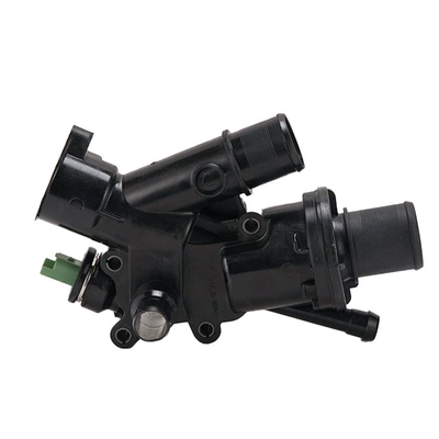 DS5 98036487, Thermostat