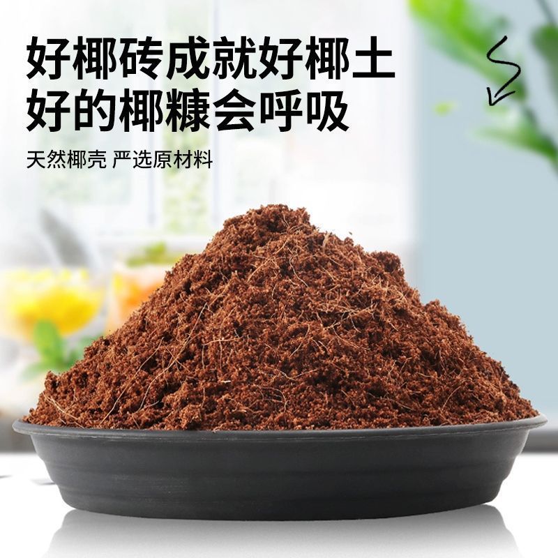 코코넛 브릭 하이 폼.*표준