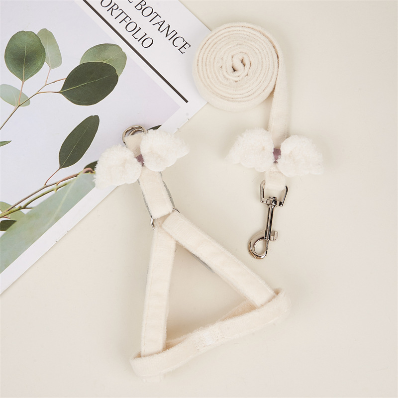 Perro lindo Correa alas de Ángel chaleco correa de pecho Teddy anti-mordedura correa de perro suministros para mascotas