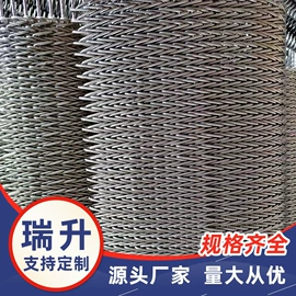 输送机;网带;传动链