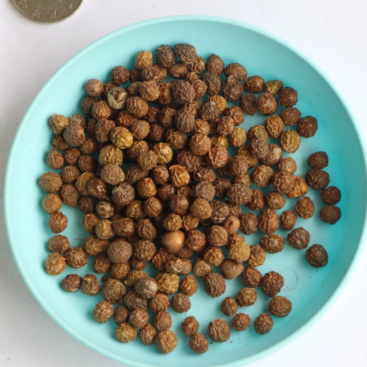 Свежесобранные семена пауловнии, полные и пухлые семена деревьев для засадки, подходящие для посадки как в северных, так и в южных регионах.