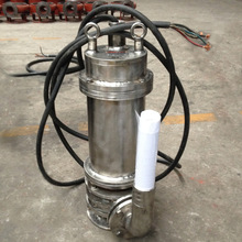 304不锈钢泵 316L不锈钢潜水排污泵不锈钢潜水泵 抽热水