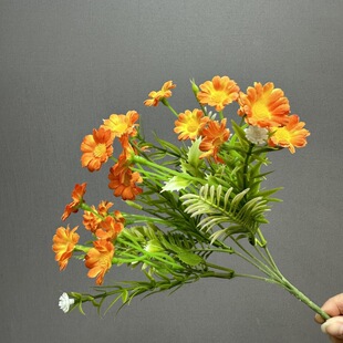 �羳�������Ұ�ջ���Y�������Ҿ��b�����zӰ�����k������[��