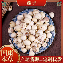 莲子批发 干货桂花莲子粥原料散装白莲子磨皮莲子肉厂家批发