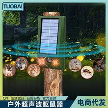 LEDtױWs ҰFҰi¹S