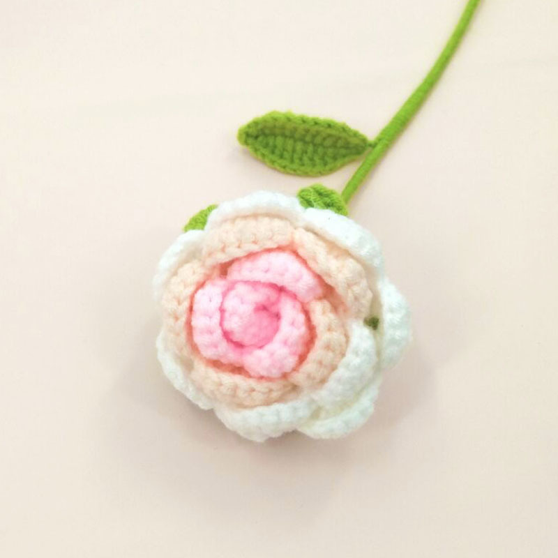 Producto terminado-gradiente Rosa champán en polvo