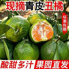 正宗不知火丑橘丑八怪当季水果新鲜柑橘子耙耙柑蜜桔10斤丑橘