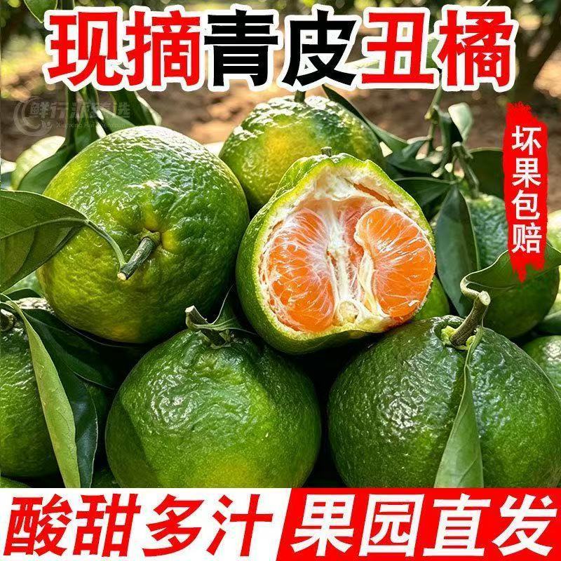正宗不知火丑橘丑八怪当季水果新鲜柑橘子耙耙柑蜜桔10斤丑橘
