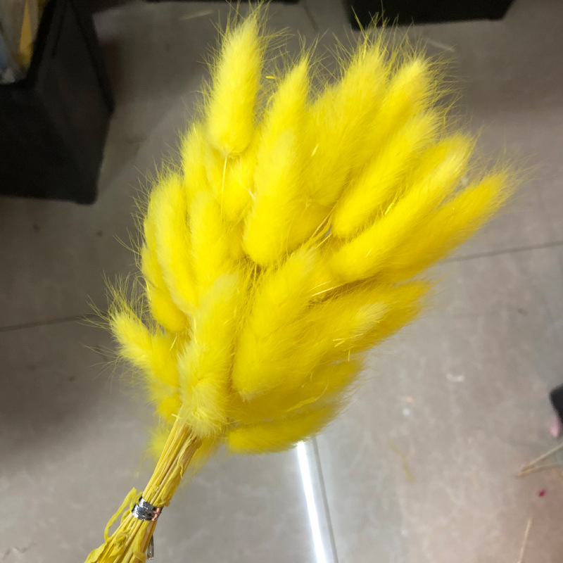 연노랑 토끼꼬리 60개