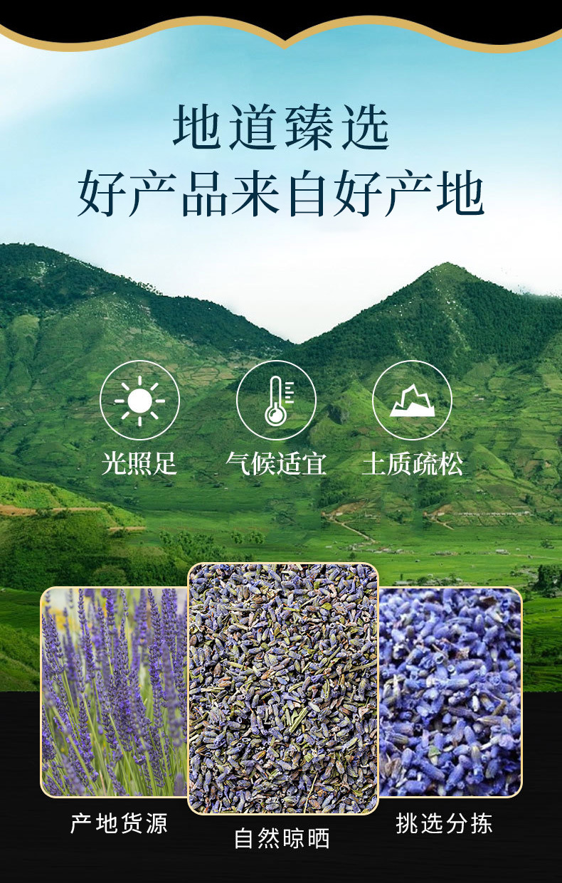 Dried Lavender Flowers (Lavandula angustifolia) — Xinjiang Ili Sachet & Tea Herb, 500g overview