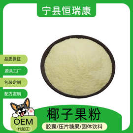椰子果粉99% 水溶现货包邮 喷雾干燥多种果蔬粉原料批发 椰子果粉