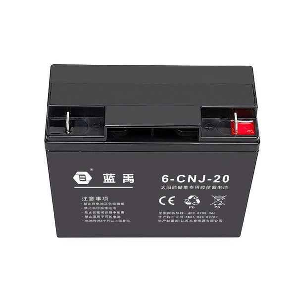 6-CNJ-20