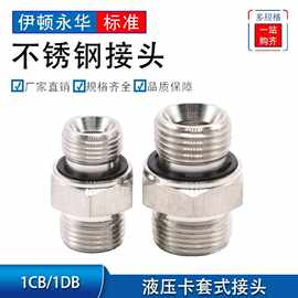 1CB/1DB对丝变径英制直通G螺纹密封外304不锈钢液压接头