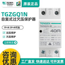 ����TGZGQ1N-80/100�Ի֏�ʽ�^Ƿ�����o��32/40/63A���Æ���220V